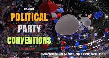 Understanding Political Party Conventions: Purpose, Process, and Impact
