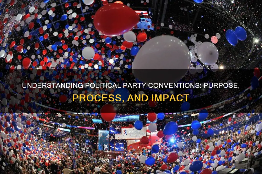 what are political party conventions