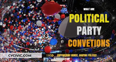 Understanding Political Party Conventions: Purpose, Process, and Impact Explained