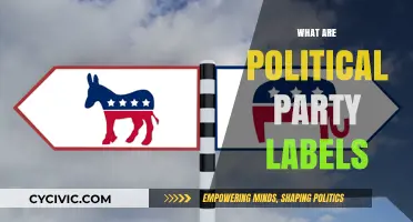 Understanding Political Party Labels: Meanings, Origins, and Modern Implications