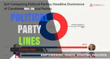 Understanding Political Party Lines: Definitions, Roles, and Real-World Impact