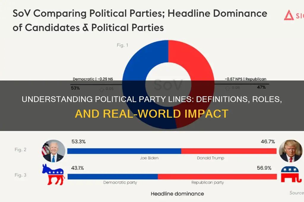 what are political party lines