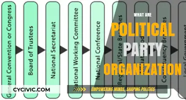 Understanding Political Party Organizations: Structure, Roles, and Influence