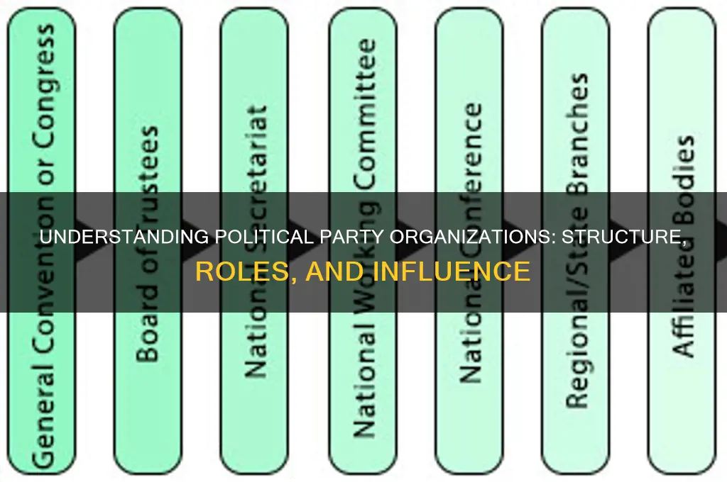 what are political party organizations