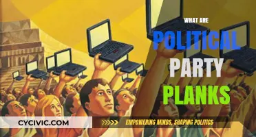 Understanding Political Party Planks: Core Principles and Policies Explained
