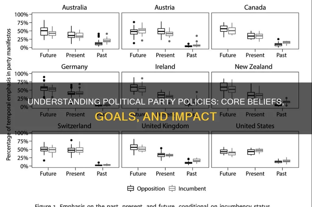what are political party policies