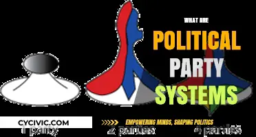 Understanding Political Party Systems: Structures, Functions, and Global Variations