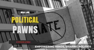 Understanding Political Pawns: Manipulated Players in Power Struggles