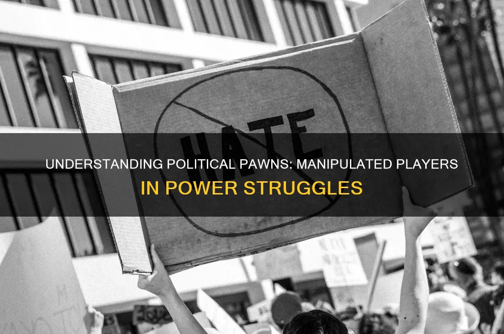 what are political pawns