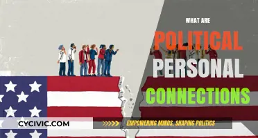 Understanding Political Personal Connections: Networks, Influence, and Power Dynamics