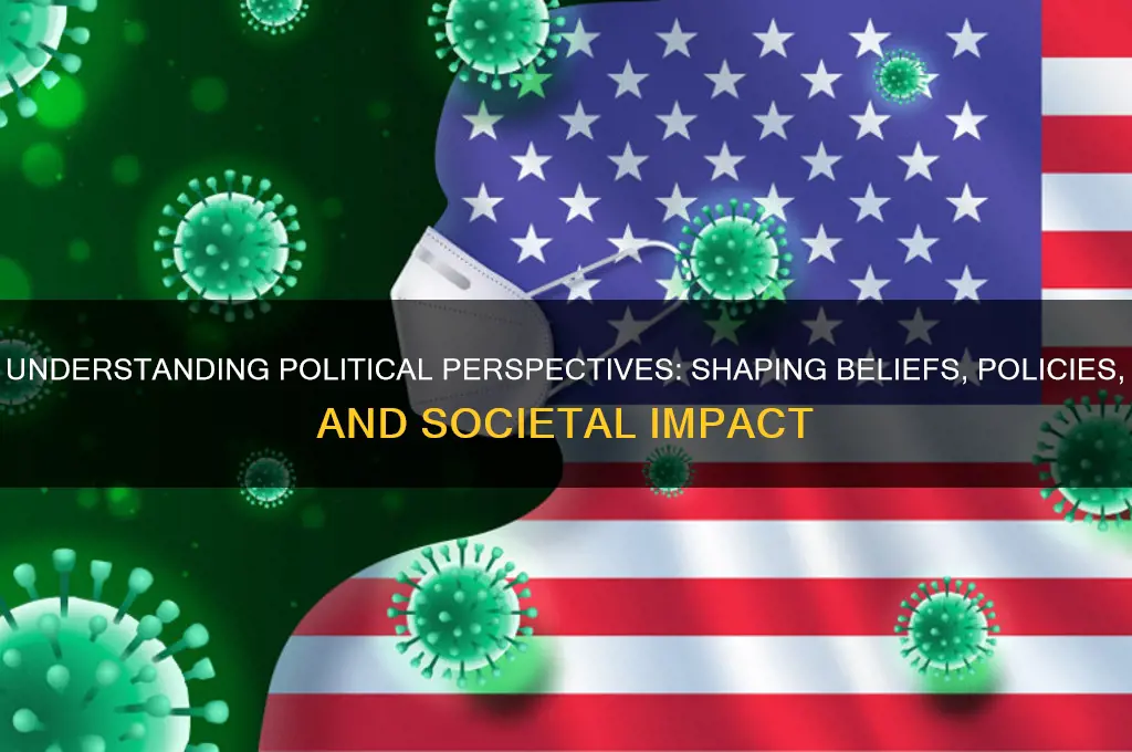 what are political perspectives