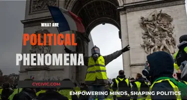 Understanding Political Phenomena: Dynamics, Impact, and Global Influence Explained