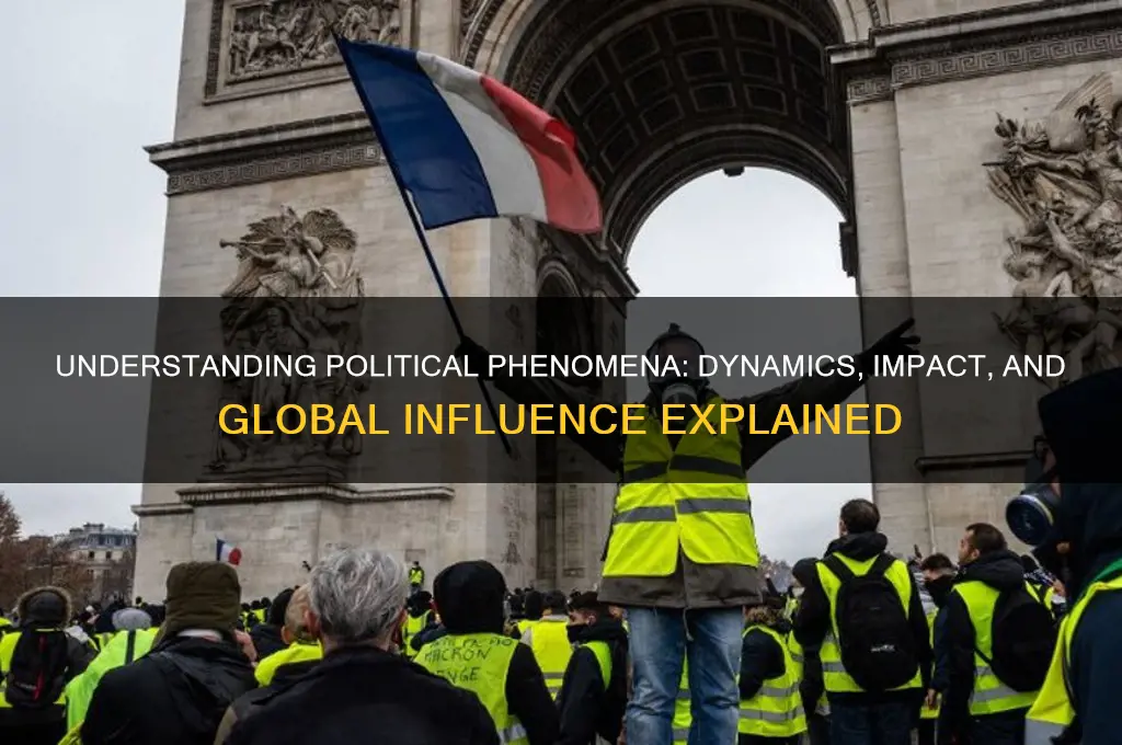 what are political phenomena