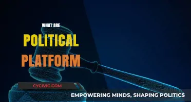 Understanding Political Platforms: Core Principles and Their Impact on Governance