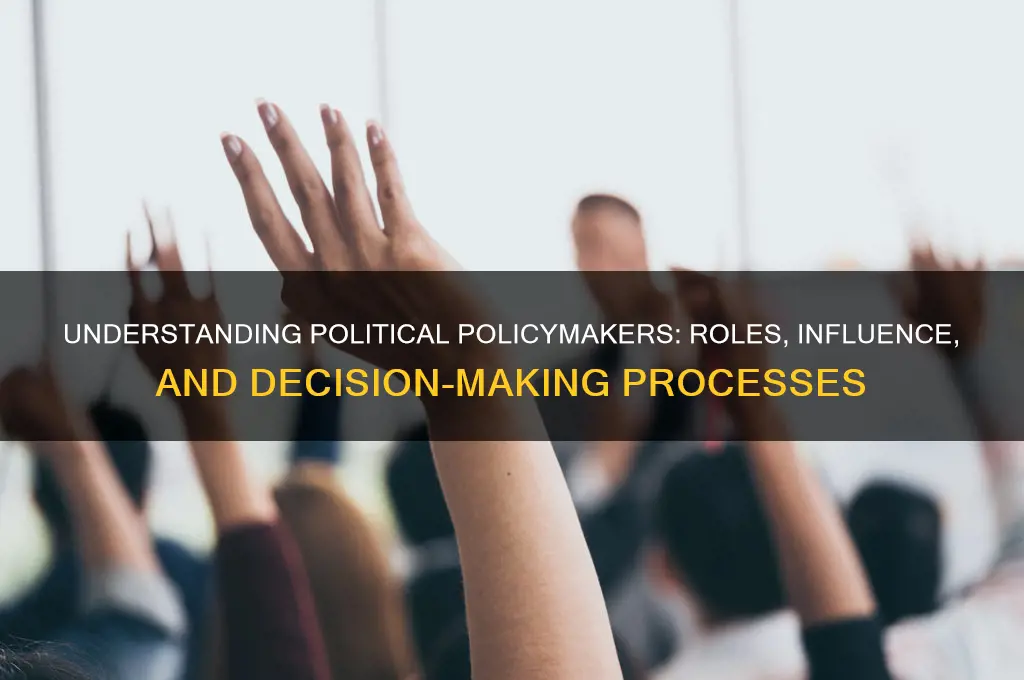 what are political policy makers