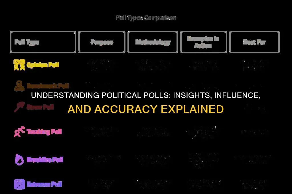 what are political polls