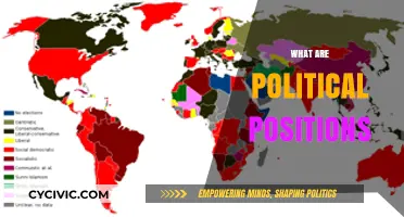 Understanding Political Positions: A Comprehensive Guide to Ideologies and Beliefs