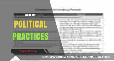 Understanding Political Practices: Strategies, Power Dynamics, and Governance Explained