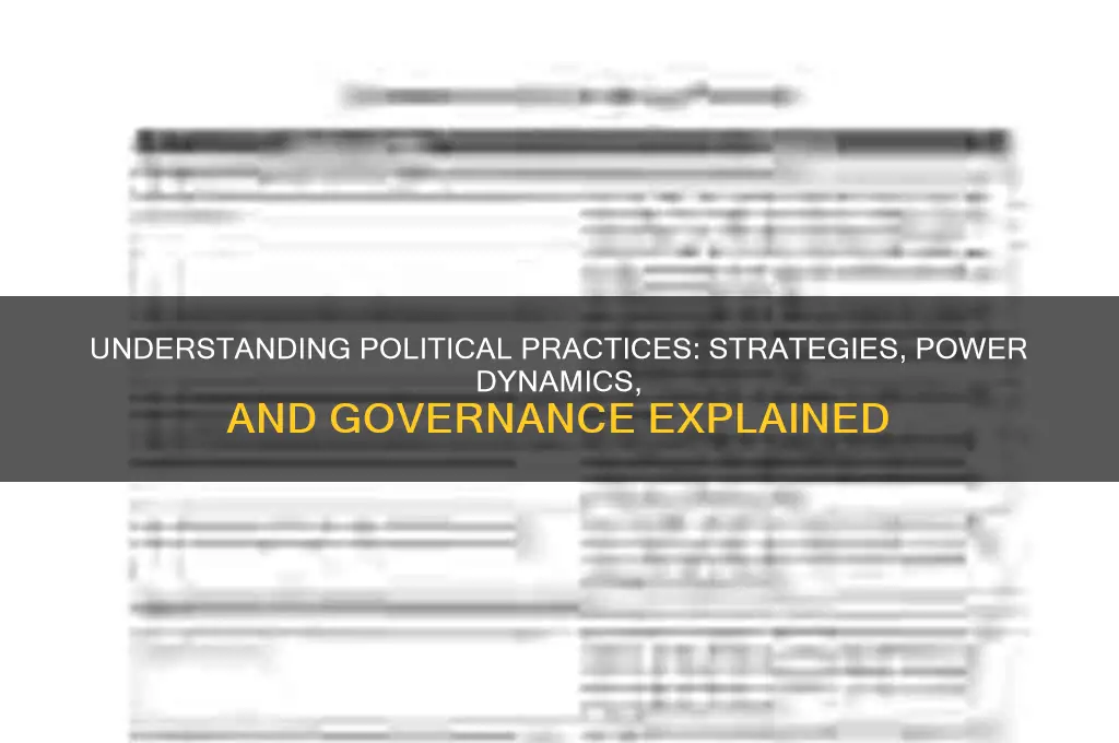 what are political practices