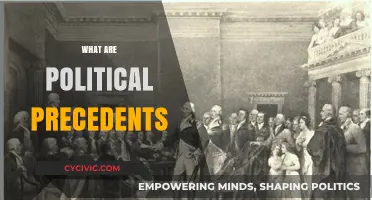 Understanding Political Precedents: Shaping Governance and Legal Frameworks