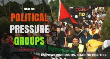 Understanding Political Pressure Groups: Influence, Advocacy, and Power Dynamics