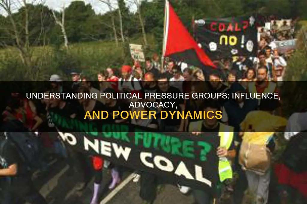 what are political pressure groups