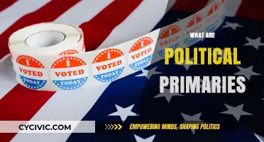 Understanding Political Primaries: A Beginner's Guide to Party Nominations