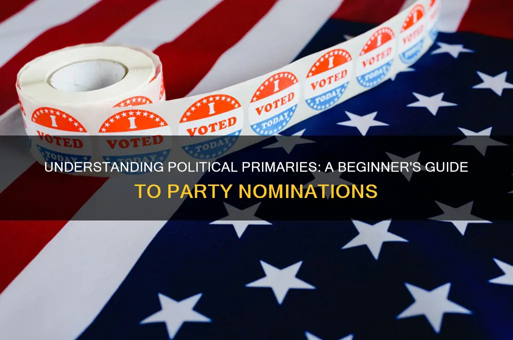 what are political primaries