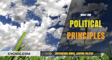 Understanding Political Principles: Core Values Shaping Governance and Society