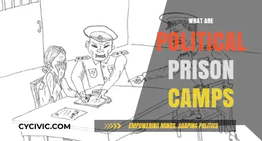 Understanding Political Prison Camps: History, Purpose, and Human Rights Concerns
