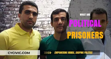 Understanding Political Prisoners: Definitions, Histories, and Global Implications