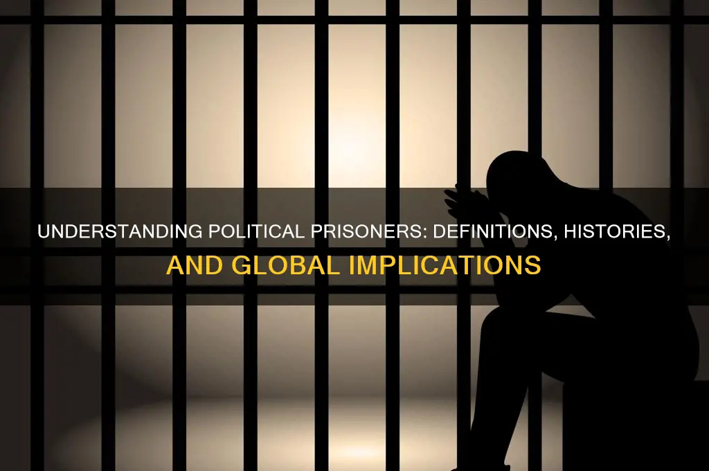 what are political prisoners