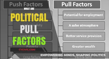 Understanding Political Pull Factors: Key Drivers of Migration and Relocation