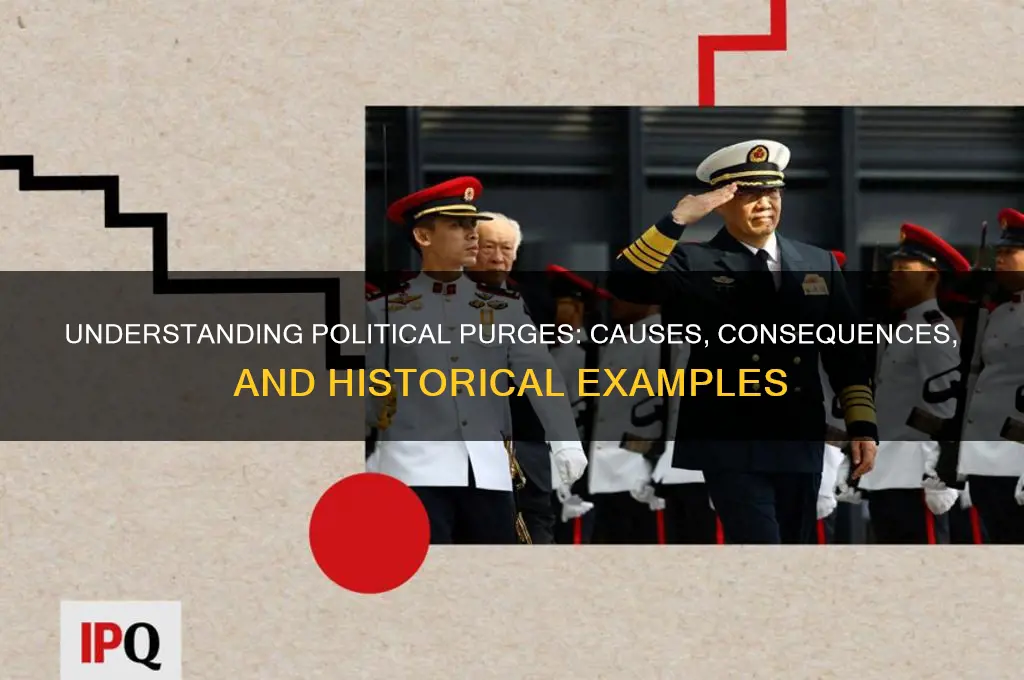 what are political purge