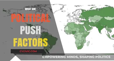 Understanding Political Push Factors: Causes, Impacts, and Global Implications