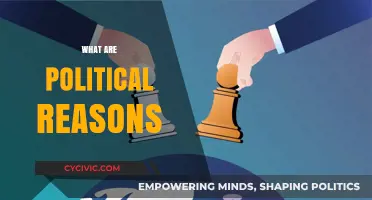 Understanding Political Reasons: Motivations, Strategies, and Power Dynamics Explained