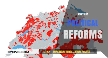 Understanding Political Reforms: Transforming Governance and Empowering Citizens