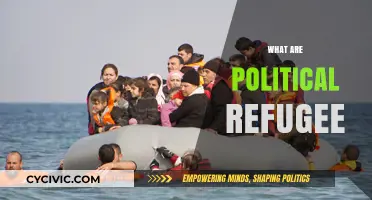 Understanding Political Refugees: Causes, Rights, and Global Impact Explained