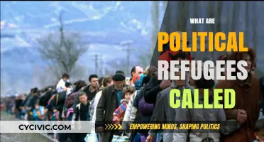 Understanding the Term: What Are Political Refugees Called and Why?