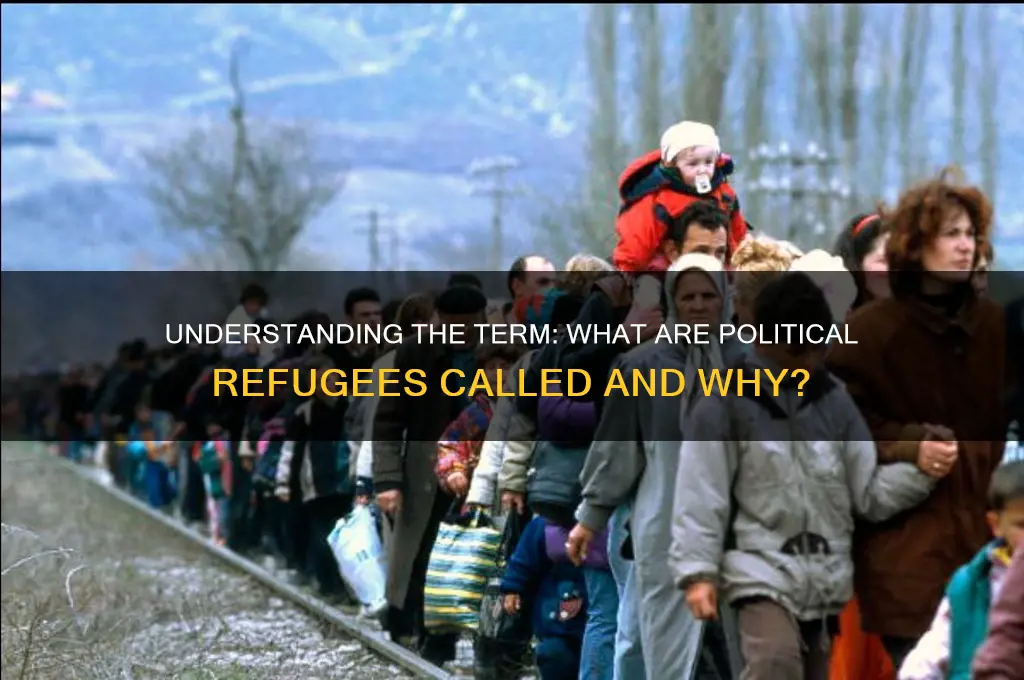 what are political refugees called