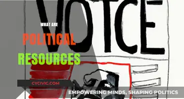 Understanding Political Resources: Power, Influence, and Strategic Assets Explained
