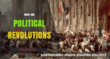 Understanding Political Revolutions: Causes, Impact, and Historical Transformations