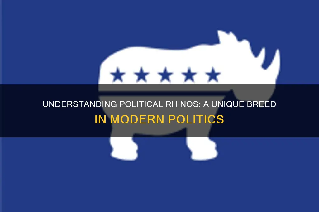 what are political rhinos