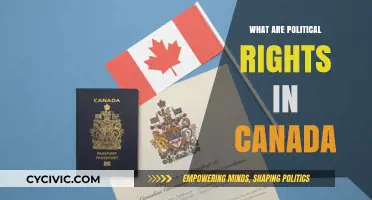 Understanding Canada's Political Rights: Freedoms, Protections, and Civic Participation