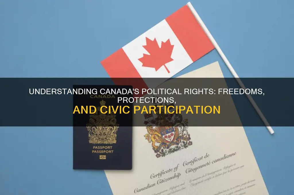 what are political rights in canada