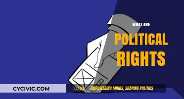 Understanding Political Rights: A Comprehensive Guide to Civic Freedoms