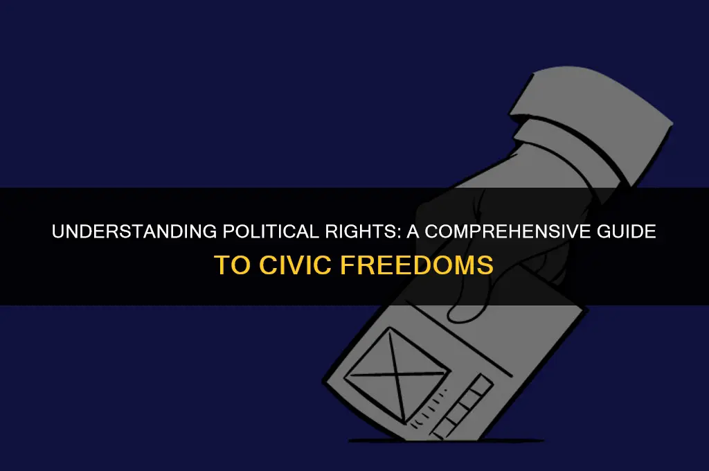 what are political rights