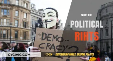 Understanding Political Rights: Freedom, Equality, and Civic Participation Explained