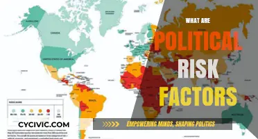 Understanding Political Risk Factors: Key Drivers and Global Implications