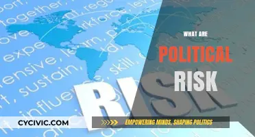 Understanding Political Risk: Impact, Mitigation, and Global Business Strategies